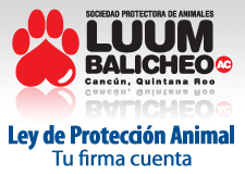 ley-proteccion-animal