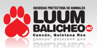 luum-balicheo